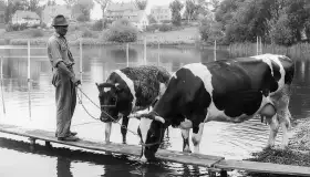 Wkrótce ożywimy AI pocztówki z Mrągowa / Sensburg, wracamy do przeszłości - zdjęcie 54