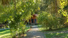 Łabędzi Ostrów i jezioro Kisajno w jesiennym wydaniu - zdjęcie 28