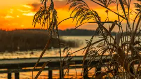 Zachód słońca nad jeziorem Bocznym w Rydzewie, listopad 2025 r. - zdjęcie 13