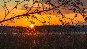 Zachód słońca nad jeziorem Bocznym w Rydzewie, listopad 2025 r. - zdjęcie 7