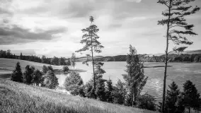 Wkrótce ożywimy AI pocztówki z Olecka / Marggrabowa, wracamy do przeszłości - zdjęcie 46