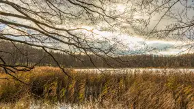 Jezioro Krzywa Kuta między jesienią, a zimą, listopad 2025 r. - zdjęcie 4