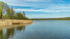 Tężnie Solankowe w Gołdapi, wiosna 2025 r. - zdjęcie 18