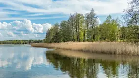 Tężnie Solankowe w Gołdapi, wiosna 2025 r. - zdjęcie 28