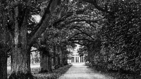 Wkrótce ożywimy AI pocztówki ze Sztynortu / Steinort, wracamy do przeszłości - zdjęcie 23