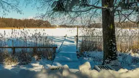 Słoneczna zima w Łabędzim Ostrowiu, luty 2025 r. - zdjęcie 37