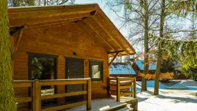 Słoneczna zima w Łabędzim Ostrowiu, luty 2025 r. - zdjęcie 45