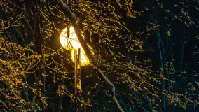 Nocne i zaśnieżone Giżycko, listopad 2025 r. - zdjęcie 20