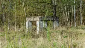 Niewielkie jezioro niedaleko śluzy Długopole, kwiecień 2025 r. - zdjęcie 8