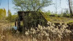 Niewielkie jezioro niedaleko śluzy Długopole, kwiecień 2025 r. - zdjęcie 23