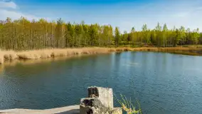 Niewielkie jezioro niedaleko śluzy Długopole, kwiecień 2025 r. - zdjęcie 14