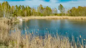 Niewielkie jezioro niedaleko śluzy Długopole, kwiecień 2025 r. - zdjęcie 21