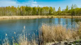 Niewielkie jezioro niedaleko śluzy Długopole, kwiecień 2025 r. - zdjęcie 25