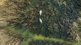 Niewielkie jezioro niedaleko śluzy Długopole, kwiecień 2025 r. - zdjęcie 22