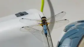 Zielone szkoły na Mazurach, promocja regionu wśród najmłodszych - zdjęcie 33