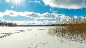 Stranda zimą, początek lutego 2025 r. - zdjęcie 31