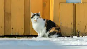 Stranda zimą, początek lutego 2025 r. - zdjęcie 33