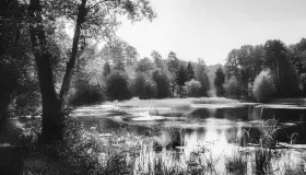 Krutynia na starych zdjęciach i pocztówkach - zdjęcie 20