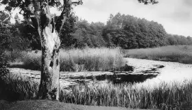 Krutynia na starych zdjęciach i pocztówkach - zdjęcie 29