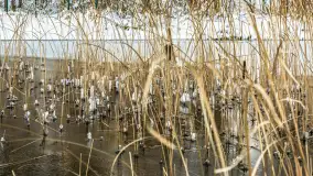 Zima w porcie Resort Niegocin, grudzień 2025 r. - zdjęcie 28