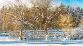 Zimowa sceneria w AZS Wilkasy nad Niegocinem, grudzień 2025 r. - zdjęcie 52