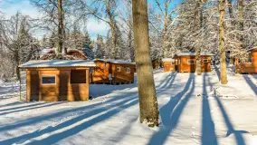 Zima w Łabędzim Ostrowiu w Pięknej Górze, Grudzień 2025 r. - zdjęcie 14