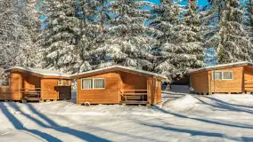 Zima w Łabędzim Ostrowiu w Pięknej Górze, Grudzień 2025 r. - zdjęcie 52