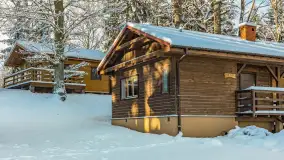 Zima w Łabędzim Ostrowiu w Pięknej Górze, Grudzień 2025 r. - zdjęcie 35