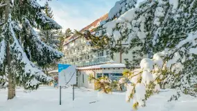 Czy to aby na pewno zima na Mazurach? grudzień 2025 r. - zdjęcie 11