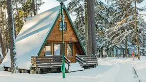 Czy to aby na pewno zima na Mazurach? grudzień 2025 r. - zdjęcie 40