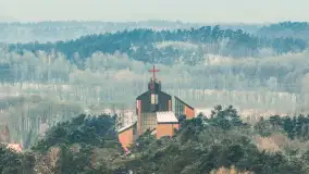 Wilkasy pod śniegiem, styczeń 2026 r. - zdjęcie 20