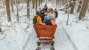 Kulig w puszczy Piskiej razem z OW Wodnik, Ruciane-Nida, Styczeń 2026 r. - zdjęcie 1