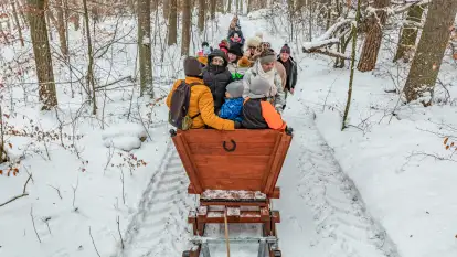 Kulig w puszczy Piskiej razem z OW Wodnik, Ruciane-Nida, Styczeń 2026 r.