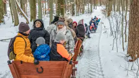 Kulig w puszczy Piskiej razem z OW Wodnik, Ruciane-Nida, Styczeń 2026 r. - zdjęcie 31