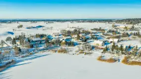 Paprotki i jezioro Paproteckie w zimowej aurze, styczeń 2026 r. - zdjęcie 6