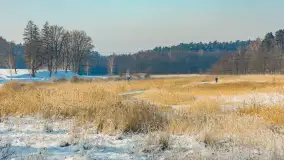 Sapina w okolicach Pozezdrza w zimowej aurze, styczeń 2026 r. - zdjęcie 11