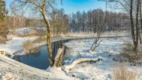 Sapina w okolicach Pozezdrza w zimowej aurze, styczeń 2026 r. - zdjęcie 5