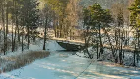 Jezioro Gołdopiwo i Brzezówka z drona, styczeń 2026 r. - zdjęcie 23