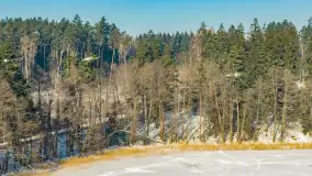 Jezioro Gołdopiwo i Brzezówka z drona, styczeń 2026 r. - zdjęcie 8