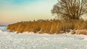 Zachód słońca nad jeziorem Śniardwy, styczeń 2026 r. - zdjęcie 26