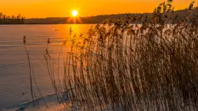 Zachód słońca nad jeziorem Nidzki, Pod Dębem, styczeń 2026 r. - zdjęcie 20