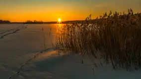 Zachód słońca nad jeziorem Nidzki, Pod Dębem, styczeń 2026 r. - zdjęcie 35