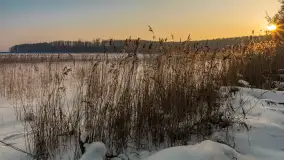 Biała i zimowa wersja mostu Sztynorckiego, styczeń 2026 r. - zdjęcie 13