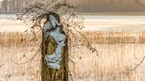 Biała i zimowa wersja mostu Sztynorckiego, styczeń 2026 r. - zdjęcie 17