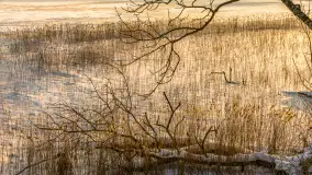 Biała i zimowa wersja mostu Sztynorckiego, styczeń 2026 r. - zdjęcie 6