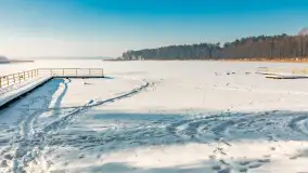 Wschodni brzeg jeziora Gołdopiwo, styczeń 2026 r. - zdjęcie 23