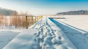 Wschodni brzeg jeziora Gołdopiwo, styczeń 2026 r. - zdjęcie 5