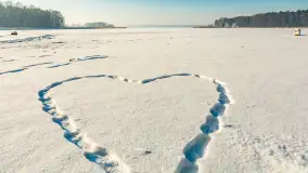 Wschodni brzeg jeziora Gołdopiwo, styczeń 2026 r. - zdjęcie 12