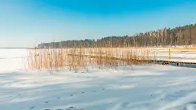 Wschodni brzeg jeziora Gołdopiwo, styczeń 2026 r. - zdjęcie 11