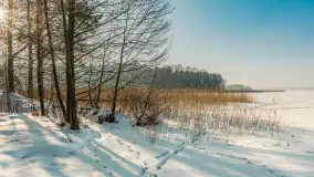 Wschodni brzeg jeziora Gołdopiwo, styczeń 2026 r. - zdjęcie 15